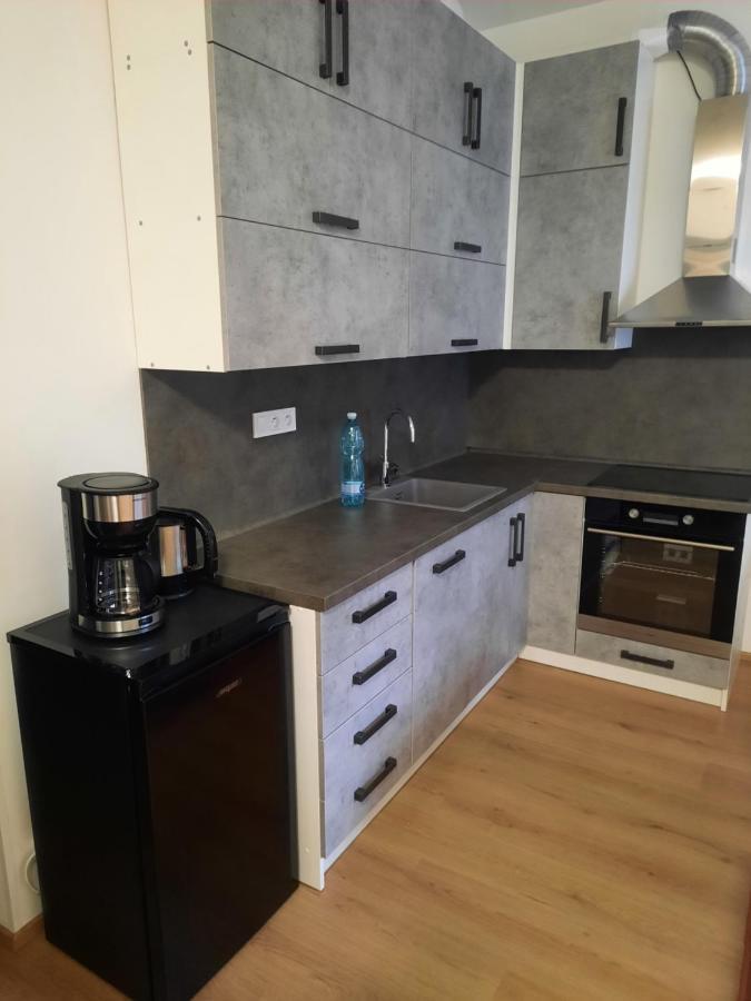 Apartman Kurt マリアーンスケー・ラーズニェ エクステリア 写真