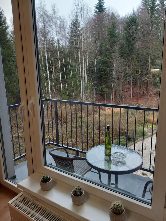 Apartman Kurt マリアーンスケー・ラーズニェ エクステリア 写真